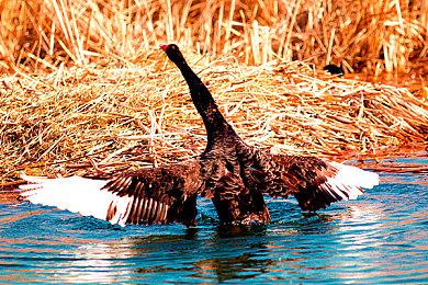 《生化危机7》阿尔伯特·威斯克手枪模型重新开售