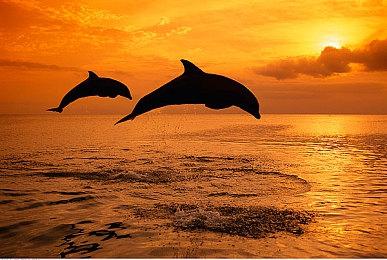 传《刺客信条：英灵殿》DLC被改为独立新游戏 注重潜行玩法